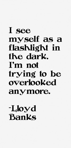 see myself as a flashlight in the dark. I'm not trying to be ...