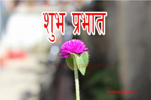 Nepali SMS, Messages, Shayari, Quotes