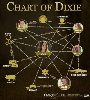 Better-check-this-Chart-of-Dixie-hart-of-dixie-32240350-600-664.jpg
