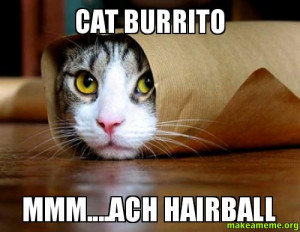 Burrito Space Cat