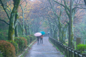 10 Tips For Surviving a Rainy Day