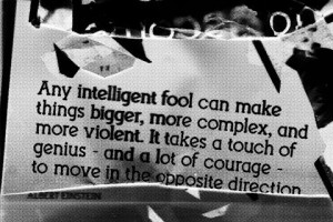 intelligent fool, opposite, proverb, quote, quotes, wisdom, words
