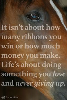 are expected by everyone to be taking your horse to shows, prancing ...