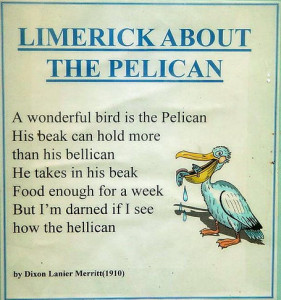 limerick 281x300 History of Fun – Limericks