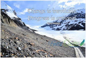 Change is inevitable. Progress is optional – Tony Robbins.