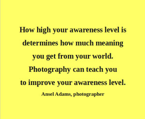 Quote by Ansel Adams: How high your awareness level is determines how ...