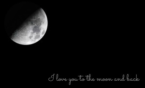 love-you-to-the-moon-and-back2.jpg