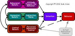 ... behavior. Organizational Behavior and Human Decision Processes, 50, p