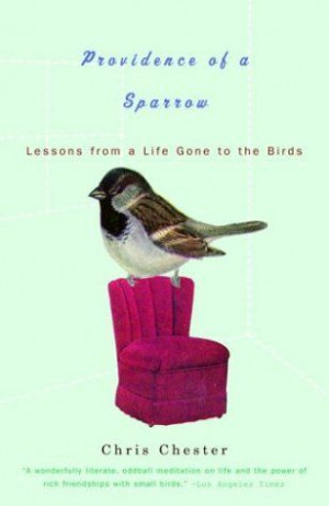 Providence of a Sparrow: Lessons from a Life Gone to the Birds by ...