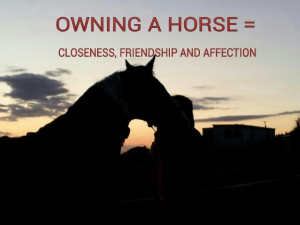 Owning a horse