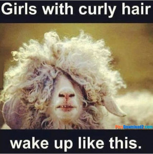 curly hair funny jokes funny pics jokes tags funny funny jokes funny ...