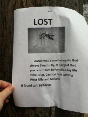 funny_lost_and_found_signs_20