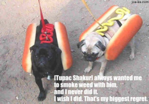 Another Funny Quotes From...