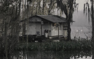 Welcome to Anderson, Louisiana - Swamp Houses: Louisa's Home (showing ...