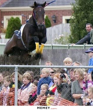Horse Jumping Into A Crowd Of Spectators