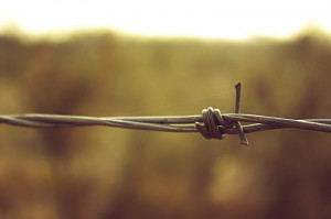 Depth Field Barbed Wire