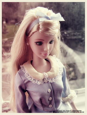 Lawmaker Wants To Outlaw Barbies - Neatorama