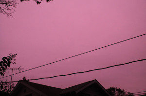 ... some beautiful reason there were pink clouds outside my house today