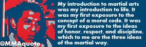 Girl Martial Arts Quotes Frank shamrock on martial arts