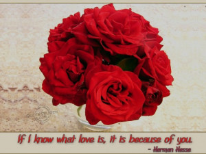 If I Know What Love Is, It Is Because Of You Red Roses Love Quote