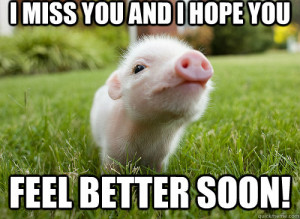 baby pig - i miss you and i hope you feel better soon