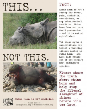 Rhino poaching awareness poster with graphic image of murdered rhino