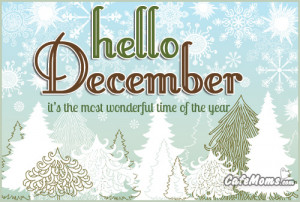 Hello December The Wonderful Time Of The Year Facebook Graphic