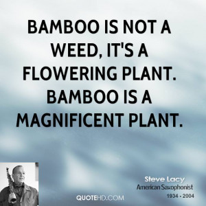 ... is not a weed, it's a flowering plant. Bamboo is a magnificent plant