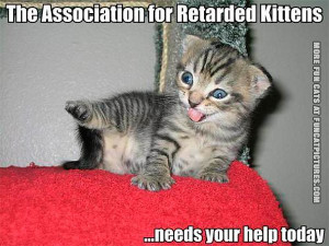 funny-cat-pics-the-association-for-retarded-kittens
