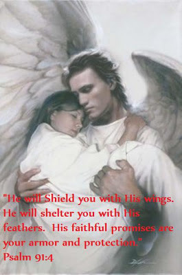 shield you with his wings he will shelter you with his feathers his ...