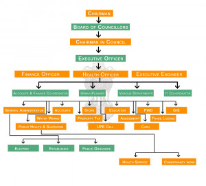 Organizational Chart Overview