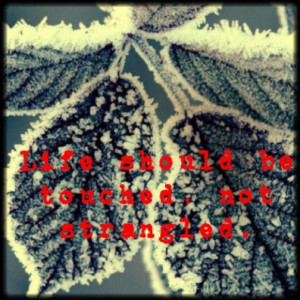 Deep quotes to remember and share (14)