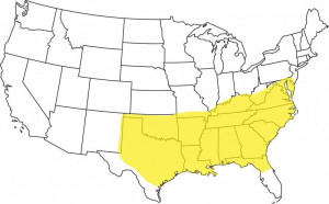 Should Oklahoma be a midwest state, southern state, or both? (Oklahoma ...
