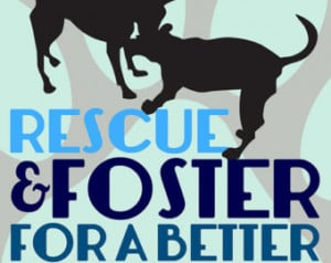Rescue and Foster Dog Quote Wall De cor Choose Fine Art, Gallery ...
