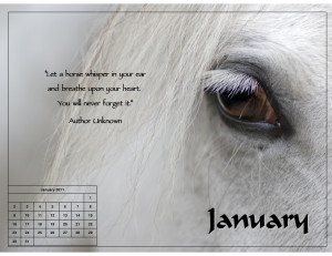 Horse Quotes