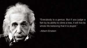 Most Famous Quotes From Literature Books Albert Einstein