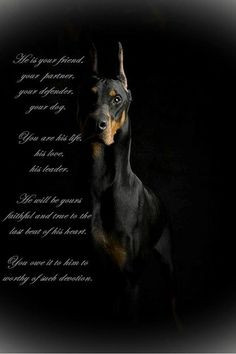 ... Doberman and my first..... She changed everything. Once you go