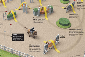 Horse Show Jumping Quotes Horse show jumping infographic