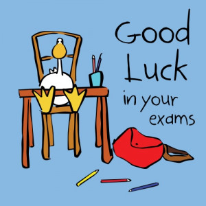 Laura Wall Goose Greeting Cards - Good Luck In Your Exams