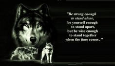 , pack, the pack, wolves, quotes, white, timber, lone wolf ... Wolves ...