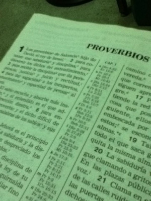 Now reading: The Book of Proverbs.