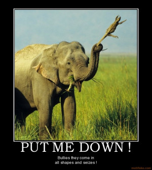 Funny Africa - Wildlife (7)