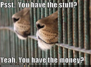 funny lion quotes,funny lion sayings life,funny lion good quotes,funny ...