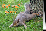 Get Well Soon card - Product #50581