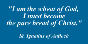 Posted by Sara Lee Macdonald at 8:58 PM