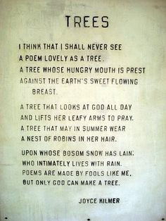 love this tree poem More