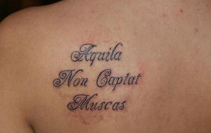 Here I want present to you 30 most popular tattoo quotes in Latin: