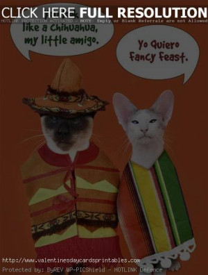 Cinco De Mayo Funny Pictures, Quotes, Sayings, Facebook Status