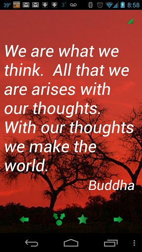 Buddha Quotes On Enlightenment