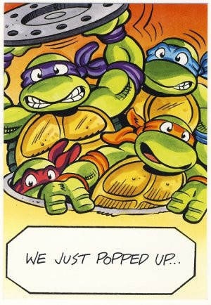 Teenage Mutant Ninja Turtles Birthday Cards